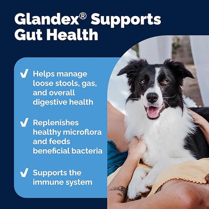 Vetnique Glandex Daily Probiotics for Dogs with Prebiotics to Support Gut Health, Diarrhea with Fiber and Digestive Enzymes, Dog Probiotic Powder (4.25oz Powder, Pork Powder)