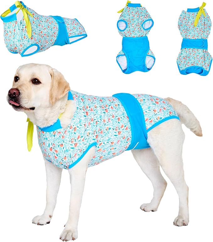 LovinPet Dog Onesie for Surgery Male - Dog Surgical Recovery Suit Female Female & Male Anti-Licking Protection Full Body Coverage for Anti-Shedding
