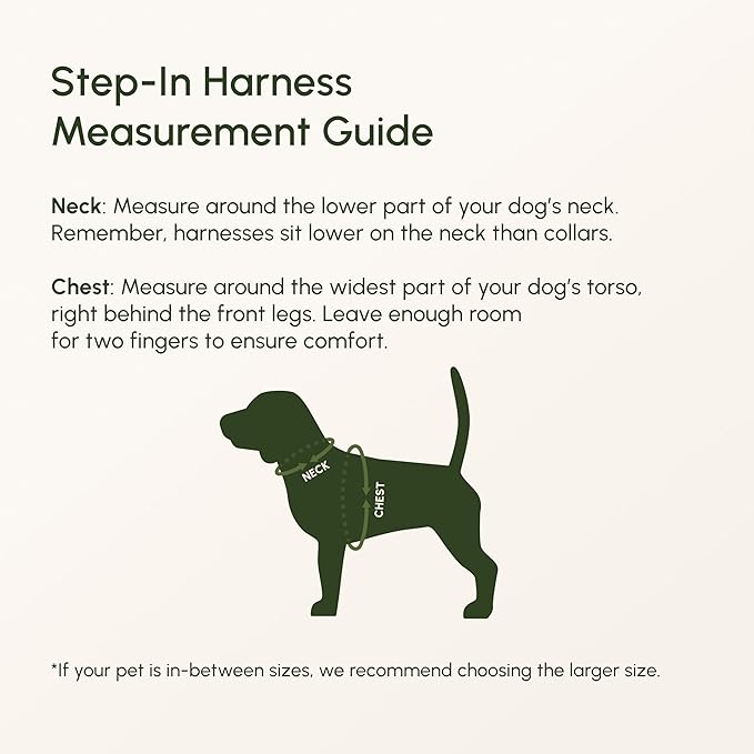 Downtown Pet Supply Step in Dog Harness for Small Dogs - Adjustable, Escape Proof Dog Harness with Reflective Trim - All-Weather, Fast-Drying Padded Mesh Fabric - Lilac, S