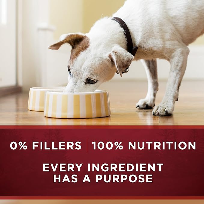 Purina ONE Natural Grain Free Wet Dog Food Variety Pack, True Instinct Classic Ground - 13 Ounce (Pack of 6)