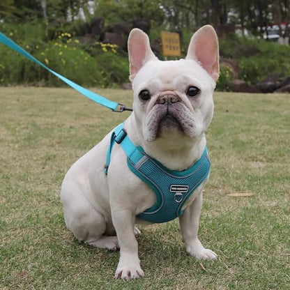 Dog Harness and Leash Set, Adjustable Triangle, Reflective Adjustable Puppy Vest, No Pull Soft Mesh Harness for Small, Medium Dogs, Cats (Turquoise, L)
