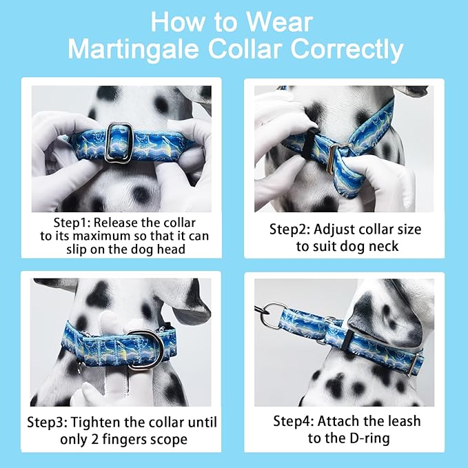 Reflective Martingale Collar for Dogs Nylon Training Collar with No Buckle, No Pull Adjustable Dog Collar for Large Dogs（Blue Starfish，L）