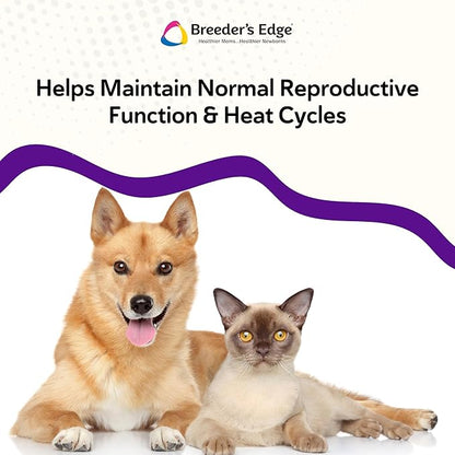 Breeder’s Edge B Strong Powder, B-Complex Vitamin Supplement for Dogs and Cats, Supports Reproductive Health, Promotes Normal Heat Cycles, and Helps Maintain Energy, 300g