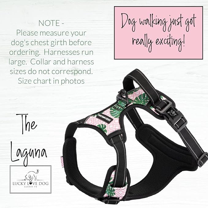 Lucky Love Dog No Pull Dog Harness, Adjustable and Easy to Walk, Cute Patterned Harness for Small Male & Female Dogs - Laguna, XS