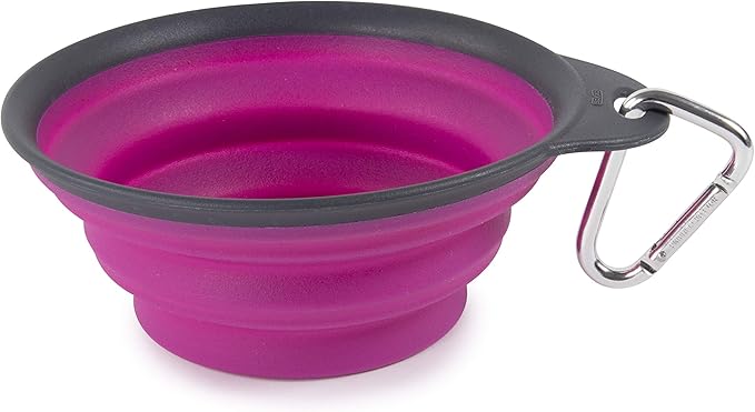 Dexas Pets Collapsible Travel Cup, Large/2 Cup Capacity, Fuchsia