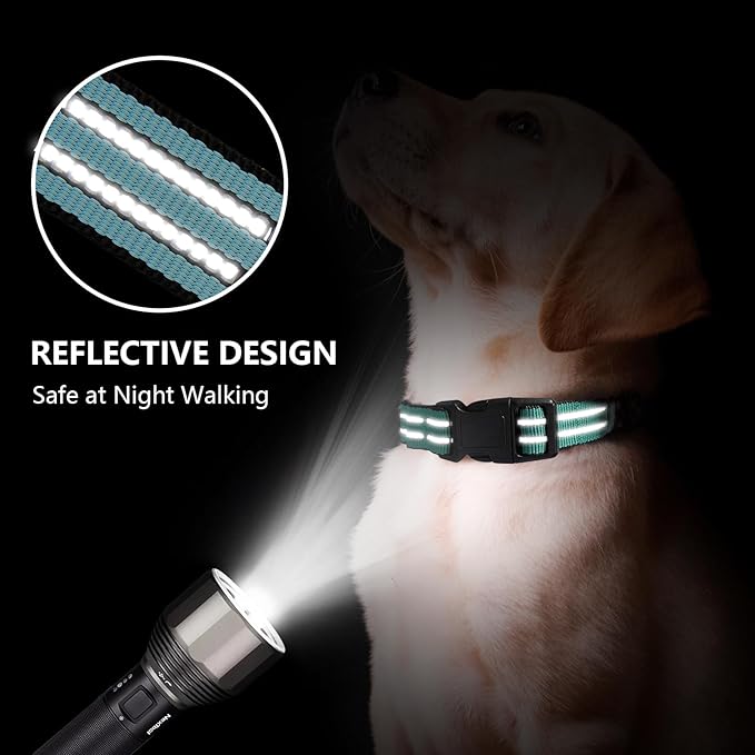 Hikiko Martingale Dog Collars Reflective Nylon Dog Collar with Quick Release Buckle Adjustable Training No Slip Dog Collar (Medium, Sky Blue)
