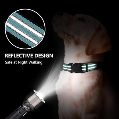 Hikiko Martingale Dog Collars Reflective Nylon Dog Collar with Quick Release Buckle Adjustable Training No Slip Dog Collar (Medium, Sky Blue)