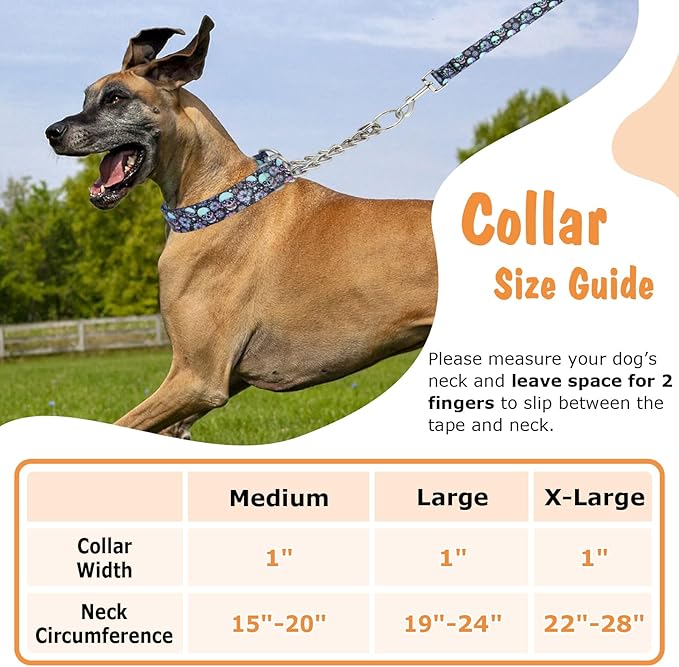 Skull Chain Martingale Collar for Dogs, No Pull Slip Cinch Choker Choke Collar Training Escape Proof Heavy Duty Dog Collar for Extra Large Medium Large Pet Boy Male Dogs, M