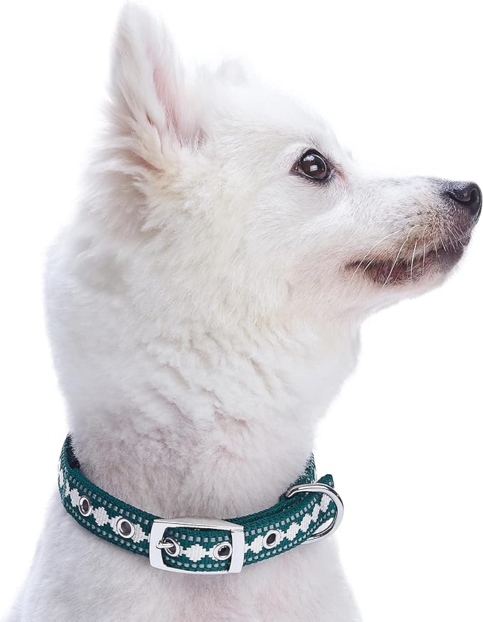 Blueberry Pet Reflective Jacquard Dog Collar with Neoprene Padding & Metal Buckle | Soft & Adjustable Safety Collar - Teal Blue