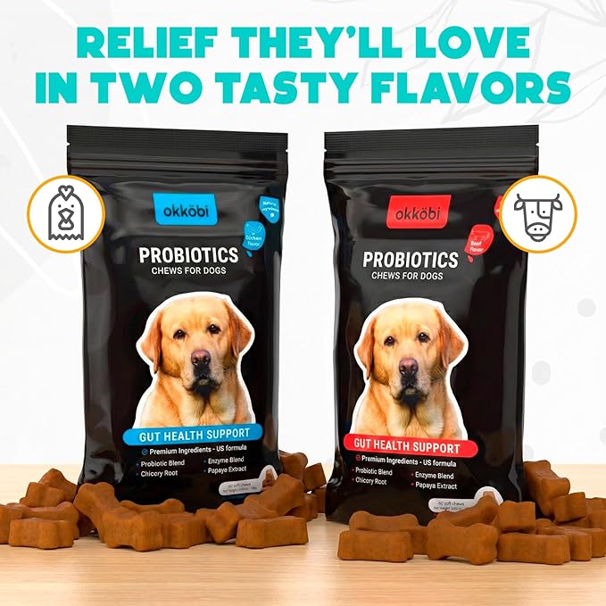 Probiotics for Dogs Chews - 60 pcs - Digestive & Gut Health Support - Probiotic Chews for Dogs with Enzymes & Natural Ingredients - US Formula - Beef Flavored