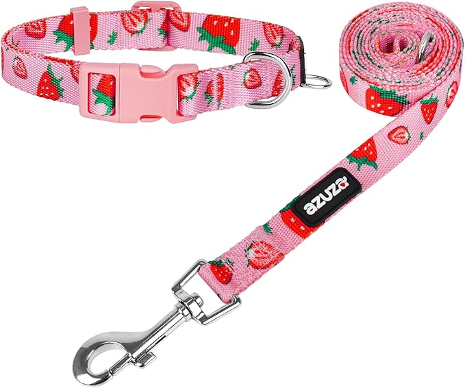 azuza Fruit Dog Collar and Leash Set, Collar Nylon and Matching Leash, Great Option for Medium Dogs, Strawberry, M (Neck: 14"-20")