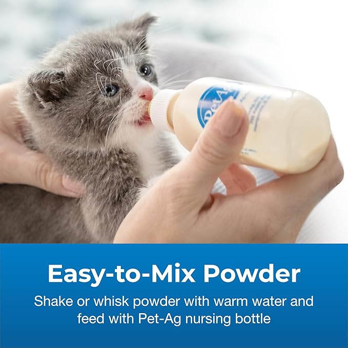 PetAg KMR Kitten Milk Replacer Powder - 12 oz - Powdered Kitten Formula with Prebiotics, Probiotics & Vitamins for Kittens Newborn to Six Weeks Old - Easy to Digest