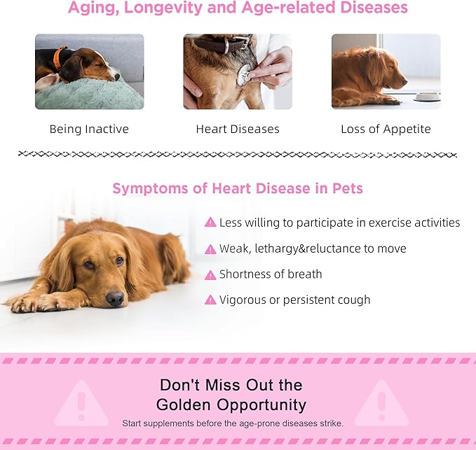 Heart Support Supplement for Dogs - L-Taurine, L-Carnitine, EPA and DHA, Coenzyme Q10 - Aids Circulatory Strength, Cardiovascular Support, Heart Muscle Function