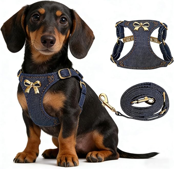 No Pull Dog Harness and Leash Set for Small Sized Dog Training Puppy Harnesses with Multifunction Dog Leash Soft Adjustable Denim No Choke Escape Proof Pet Harness for Small Medium Dog (Navy Blue XS)