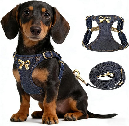 No Pull Dog Harness and Leash Set for Small Sized Dog Training Puppy Harnesses with Multifunction Dog Leash Soft Adjustable Denim No Choke Escape Proof Pet Harness for Small Medium Dog (Navy Blue XS)