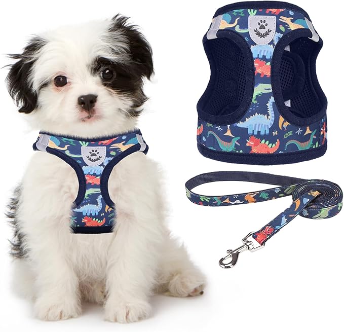 KOOLTAIL Dog Harness and Leash Set for Small Medium Dogs, Step in No Pull Soft Mesh Dog Harness Comfort Padded Pet Vest, Adjustable Reflective Easy Walking Puppy Cats Harness Training, Dinosaur S