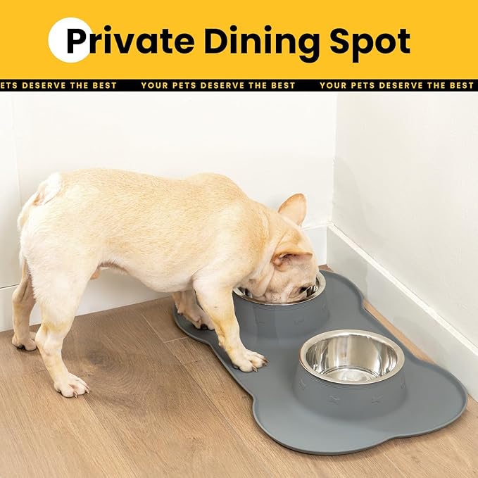 Conlun Medium Pet Feeding Station, 29oz Stainless Steel Dog Bowls Set, No Spill Food & Water Dishes with Non Slip Silicone Mat for Breeds Up to 55 Lbs, Grey