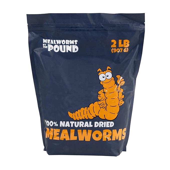 MBTP Bulk Dried Mealworms - Treats for Chickens & Wild Birds (2 Lbs)