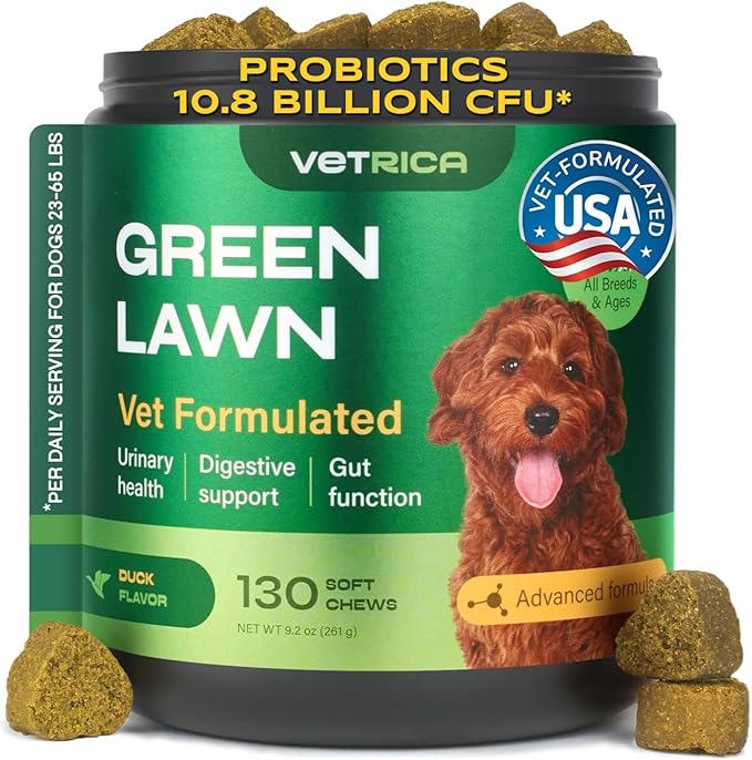 Dog Urine Neutralizer for Lawn with Probiotics - 234 Billion CFU per Pack - Grass Savers for Dog Urine with Digestive Enzymes, Cranberry - Green Grass Dog Chews for Gut Health Support - 130 Treats