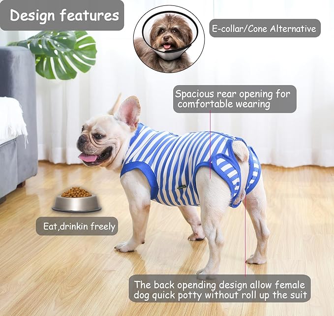 Dog Recovery Suit Post Surgery Shirt for Puppy,Small Female Male Wound Protective Suit,Blue XS