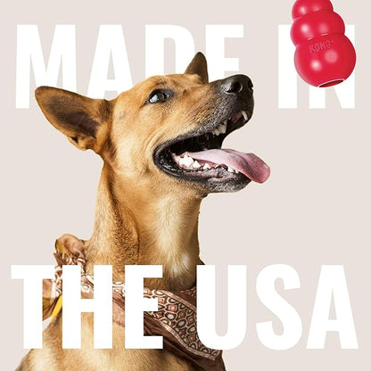 KONG Flyer - Durable Dog Toy for Outdoor Playtime - Natural Rubber Flying Disc, Dog Toy for Fetch - Safer Disc for Healthy Activity - for Small Dogs (Pack of 2)