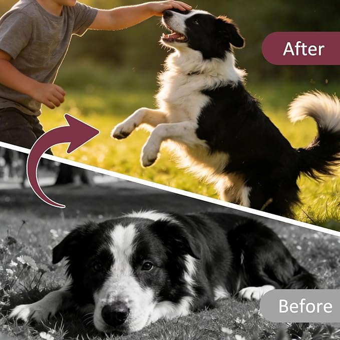 Fenbendazole Dewormer for Dogs & Puppies, Oral Treatment for Tapeworms, Roundworms, Hookworms and Whipworms, 24 Count