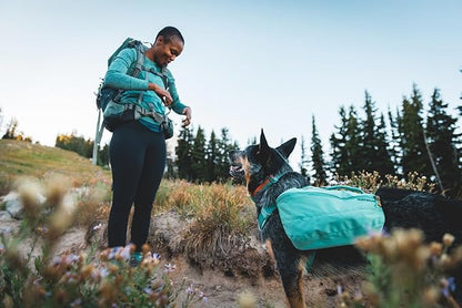Ruffwear, Front Range Dog Collar, Adjustable Tubelok Webbing, Lightweight, Side Release Buckle, Aluminum V-Ring, Durable for Everyday Use, Basalt Gray, 20"-26"