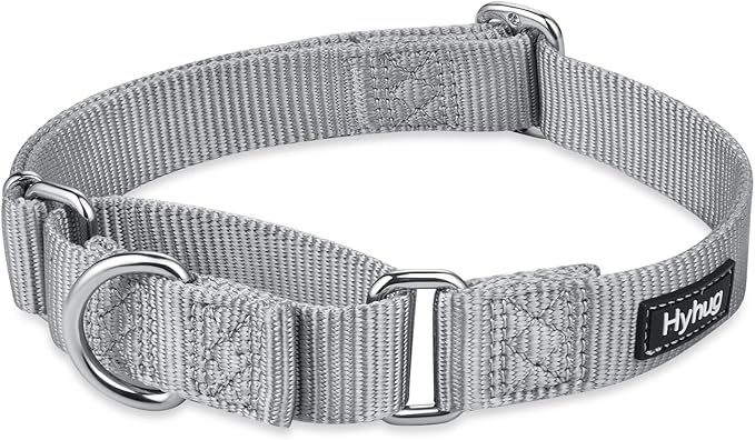Hyhug Martingale Dog Collar Medium Gray |Escape - Proof Heavy Duty Nylon Durable No Slip, Ideal for Training & Daily Walks