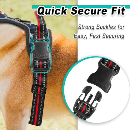BARKBAY Dog Harness No Pull Mesh for Small Dogs - Adjustable, Reflective, Comfortable, No Choke, Heavy-Duty - Perfect for Outdoor Training, Walking, and Hiking - Strong & Durable - S & Blue Star Mesh