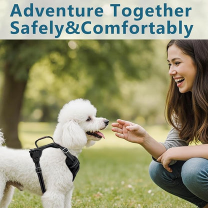 BARKBAY Dog Harness No Pull Oxford with ID Tag Pocket - Heavy Duty, Reflective, Easy Control for Large Dogs(Black Oxford,XS)