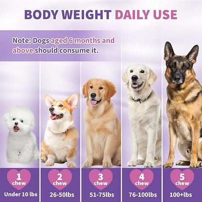 Calming Melatonin for Dogs, 200 Pet Chews Calming Treats for Sleep Aid Sleeping Pills Puppy Melatonin Bites Support Stress, Anxiety Relief, Separation for Small and Large Dogs(Chicken Flavor)
