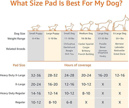 Amazon Basics Carbon Odor Control Dog and Puppy Pee Pads, 5-Layer Leak-Proof Super Absorbent, Quick-Dry Surface for Potty Training, Regular Size 22"x22", Gray, 80 Count