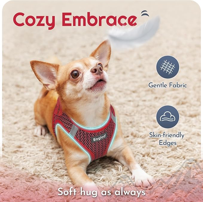 Eagloo Small Dog Harness and Leash Set, Step in Puppy Vest with Breathable Soft Mesh, Walking Reflective Pet Harness for Small Dogs, Red, XS