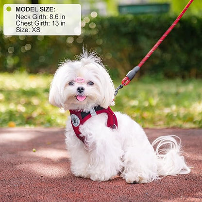 BEAUTYZOO Small Dog Harness and Leash Set,Step in No Choke No Pull Soft Mesh Dog Harnesses Reflective for Extra-Small Medium Puppy Dogs and Cats, Plaid Dog Vest Harness for XS S Pets, Red, XS