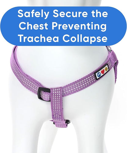 Pawtitas Reflective Step-in Dog Harness – Adjustable No-Pull Vest for Puppies to Seniors, Safe & Comfortable, S Orchid