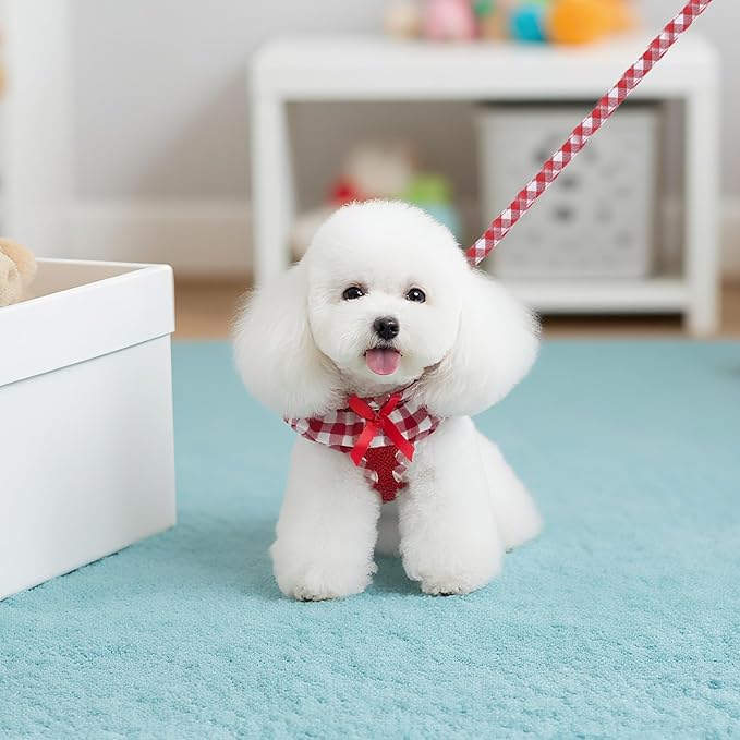 EXPAWLORER Cute Dog Harness Collar Leash Set - Red Girl Dog Harness Checkered Step-in Design, Detachable Bow Pet Collar, Adjustable No-Choke Lightweight Mesh Vest for Cats Puppy Small Dogs, XS