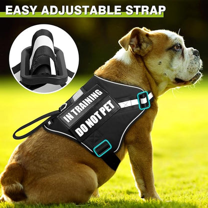 WINSEE Dog Harness & Leash Set, Medium, Black - Reflective, Adjustable, W/ 10 Patches for Service, Therapy Dogs, Extra Durable