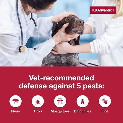 K9 Advantix II XL Dog Vet-Recommended Flea, Tick & Mosquito Treatment & Prevention | Dogs Over 55 lbs. | 3-Mo Supply