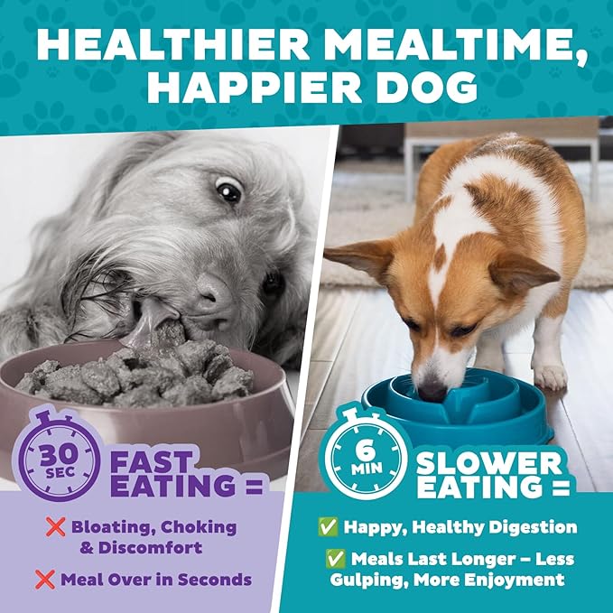 Outward Hound Fun Feeder Slo Bowl – Medium 2‑Cup Capacity,Slow Feeding,Small to Medium Dogs & Cats,Non-Slip,Turquoise,Drop Pattern,(Pack of 12)