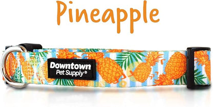 Downtown Pet Supply - Martingale Collar for Dogs - Dog Training Collar - Big, Wide & Thick Dog Collar - Escape-Proof, Weatherproof, Durable and Comfortable - Pineapple - Small Dog Collar