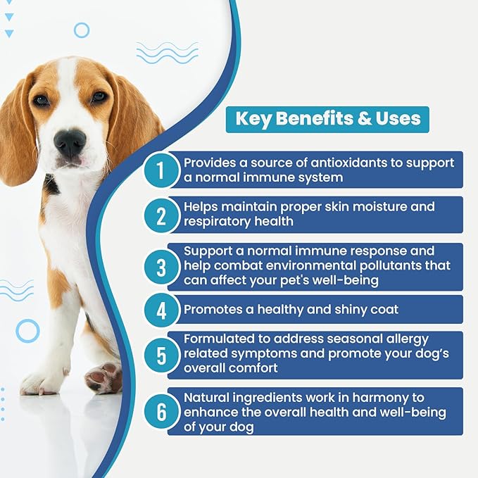 Replenish Allergy and Immune Chews for Dogs - Dog Allergy Support Soft Chews - Itchy Skin & Immune Support Supplements - Best Pet Allergy Chew for Seasonal Allergy Relief - Itch Relief Treats - 60 Ct
