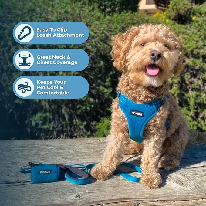 Best Pet Supplies Voyager Adjustable Step-in Flex Breathable Mesh Dog Harness for Small Medium Large Dogs Leash Set (Turquoise), L