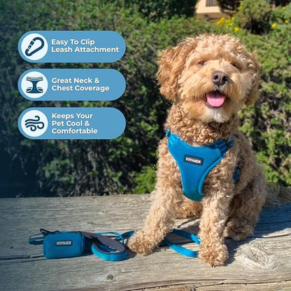 Best Pet Supplies Voyager Adjustable Step-in Flex Breathable Mesh Dog Harness for Small Medium Large Dogs Leash Set (Turquoise), XS
