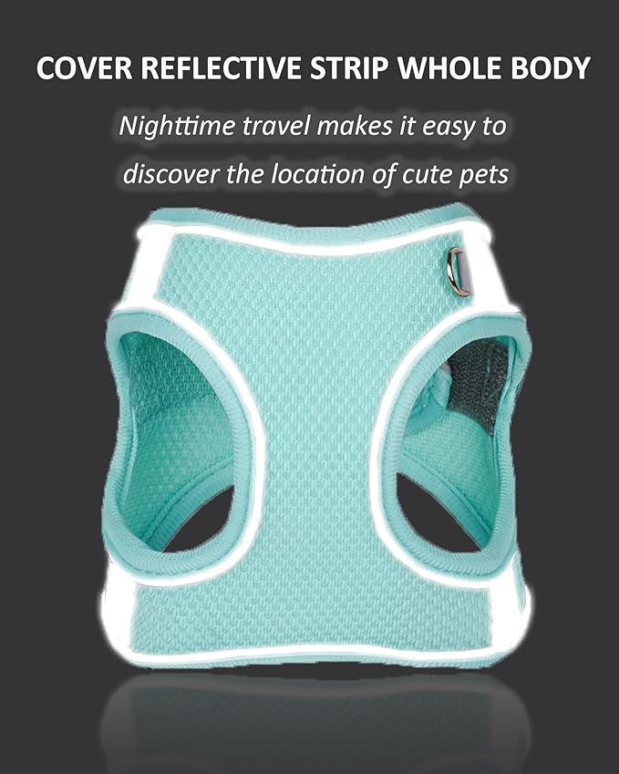 Solmoony Dog Harness for Small Medium Dogs No Pull, Puppy Harness and Leash Set, Puppy Harness for Small Dogs, mesh Dog Harness. (Green, S)