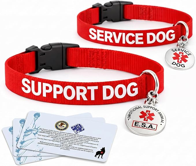 Service Dog Collar & Emotional Support Animal (ESA) Collar with Metal ID Tag + 3 Information Cards – Adjustable Heavy-Duty Nylon | ALL ACCESS CANINE