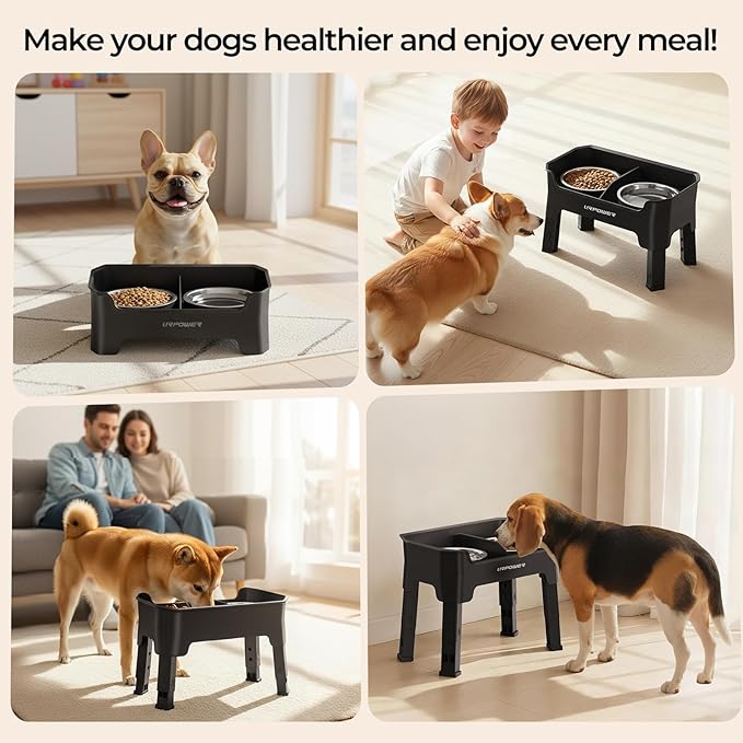 URPOWER Mess Proof Elevated Dog Bowls, High Wall Splash Guard Design, 4 Height Adjustable Raised Bowl Stand, 2 Stainless Steel Bowls, Non-Slip Food Water Set for Small Medium Large Dogs