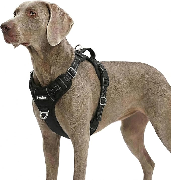 Funfox Dog Harness for X-Large Dog No Pull, Adjustable Pet Vest Harness, Vertical Handle Easy Control with 2 Leash Clips, Soft Material, Reflective Safe Night Walking for X-Large Size, Black, XL