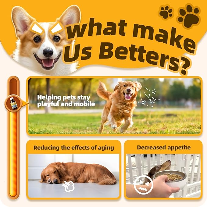 Immune Booster Liquid for Boosting Immunity, Aiding in Infection Defense, Accelerating Wound Healing, Reducing Allergy Symptoms, Enhancing Appetite and Energy for Cats and Dogs (1 Bottle)