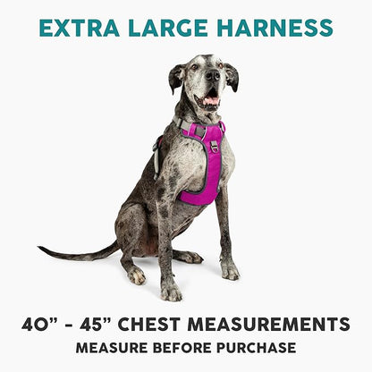 Embark Adventure XL Dog Harness – No-Pull, Reflective Trim, Military-Grade Nylon, Dual Leash Clips, Gel-Lined Handle for Extra Large Dogs
