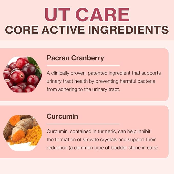 Doctor By UT Care Cat UTI Kidney Support Urinary Supplement Cranberry Treatment for Cats Renal Health with Pacran, Quercetin, Taurine lickable Formula Individually Packaged (1 Pack)